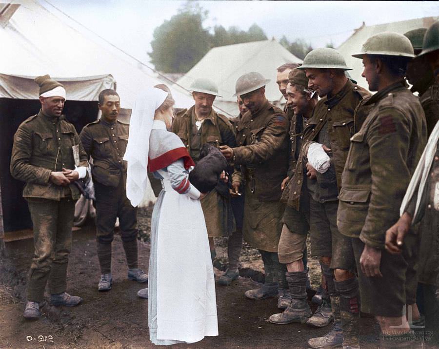 Some Wounded Canadian Present a nurse with a dog brought out of the trenches with them, October 1916