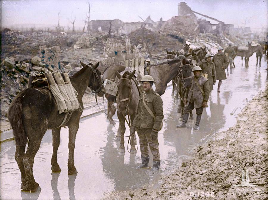 Pack horses transporting ammunition to the 20th battery Canadian field artillery April 1917