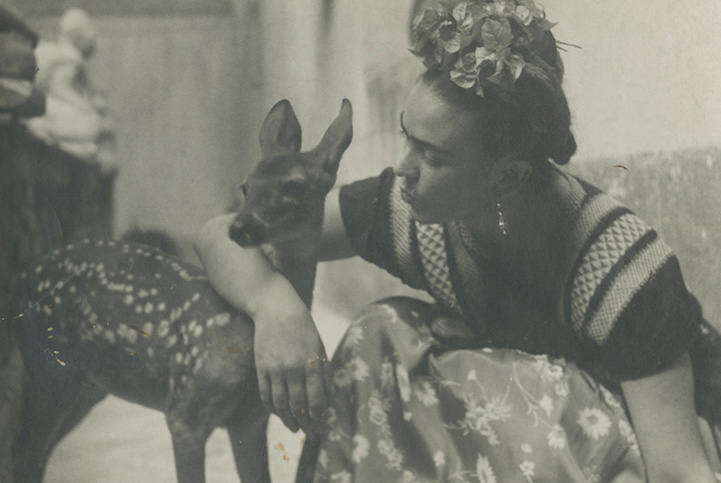 The Life Of Frida Kahlo: 50+ Rare Photos That Give A Rare Insight Into Her Life