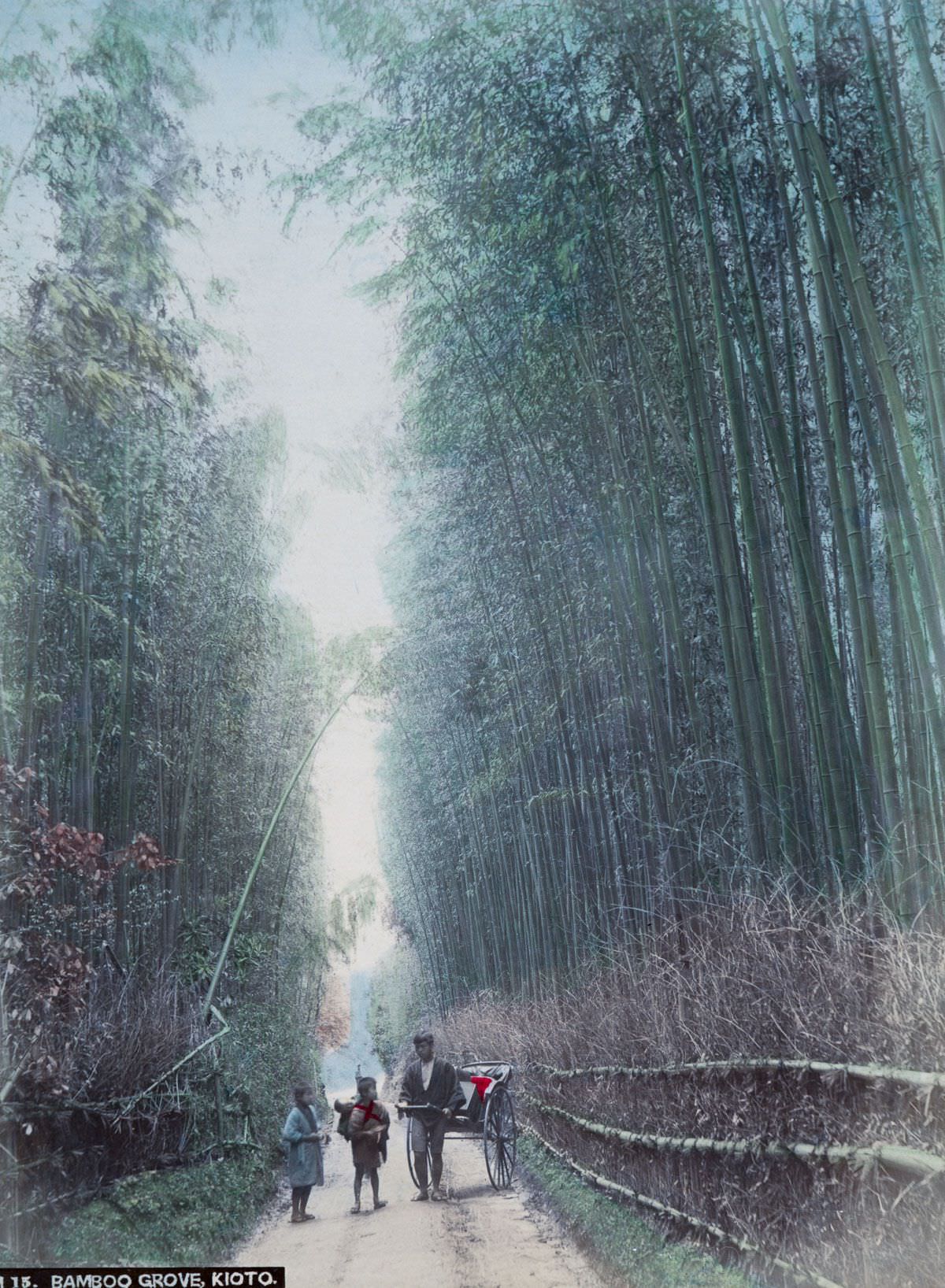 Bamboo Grove, Kioto