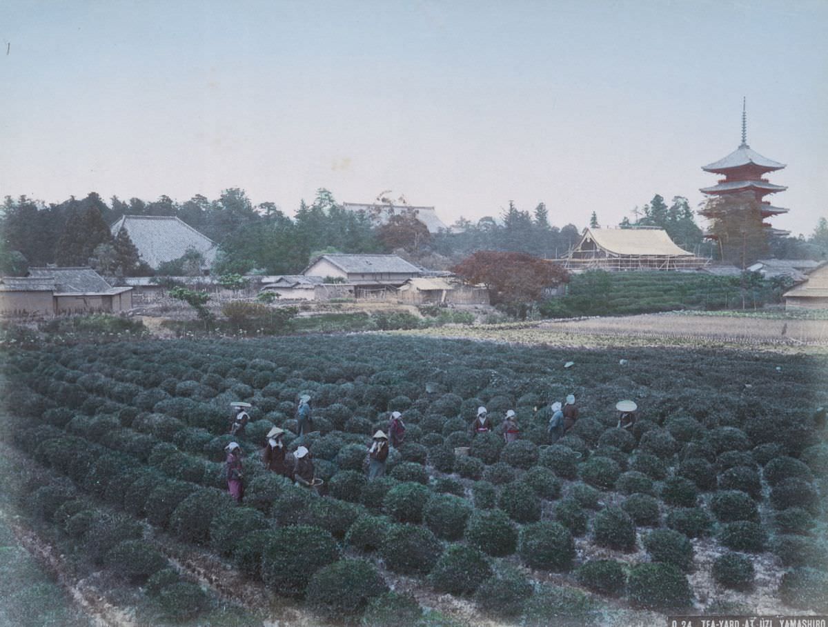 Tea-Yard at Uzi, Yamashiro