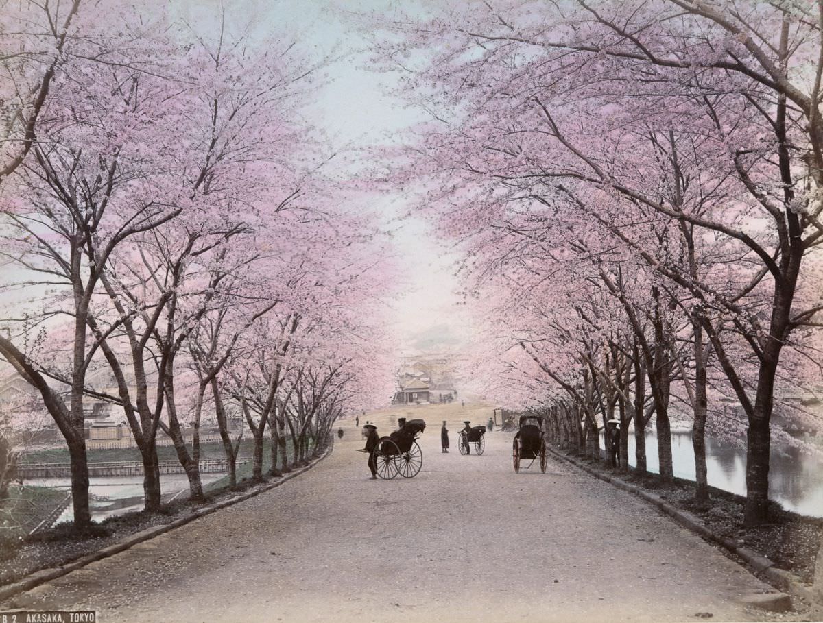 Akasaka, Tokyo