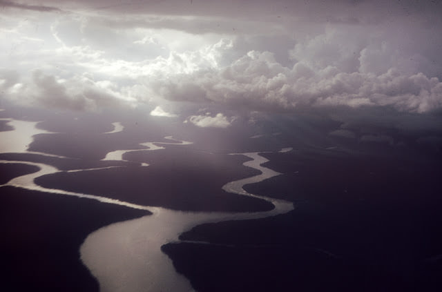 Amazon Rain forest, 1960s