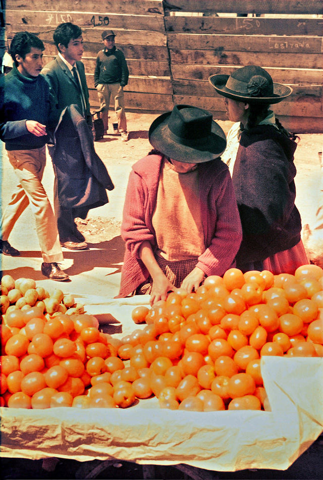 Tomatoes at the market, Huancayo, highland Peru, 1967