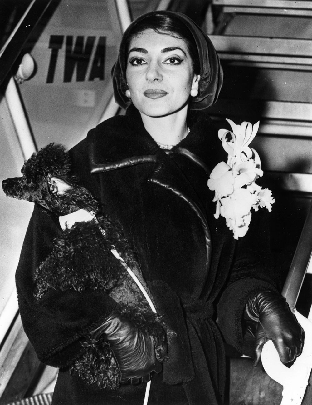 Maria Callas and her dog