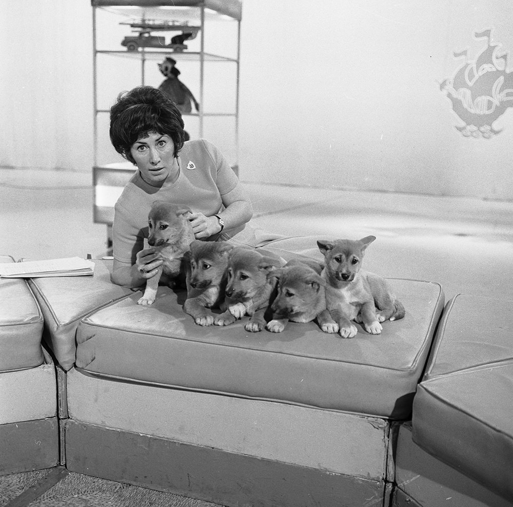 Valerie Singleton with her 5 puppies