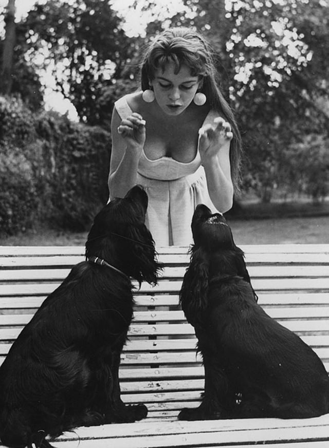 Brigitte Bardot and her black spaniels