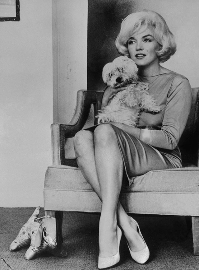 Marilyn Monroe and Maf