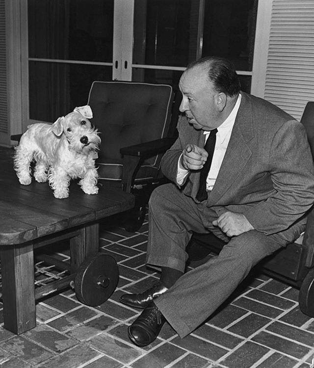 Alfred Hitchcock with his Sealyham terrier Sarah