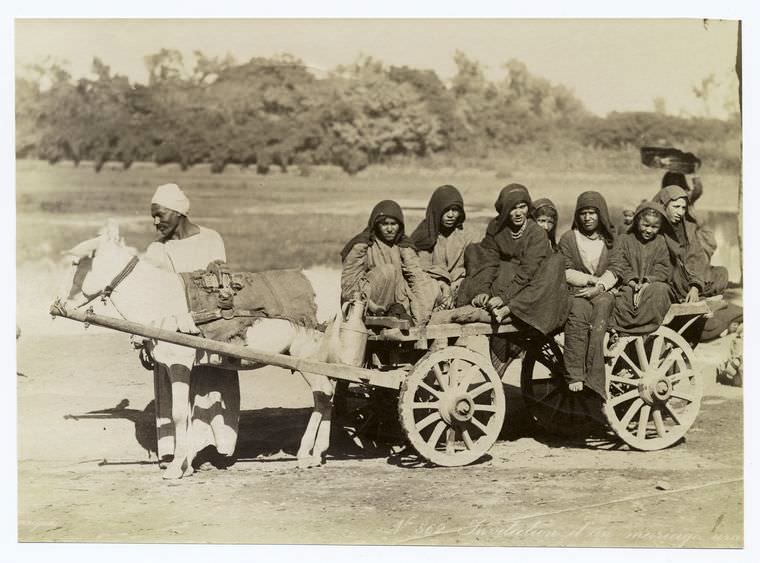 Children on a horse wagon