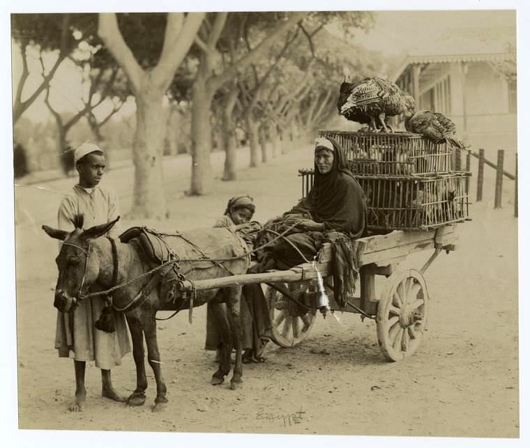 People with their donkey cart