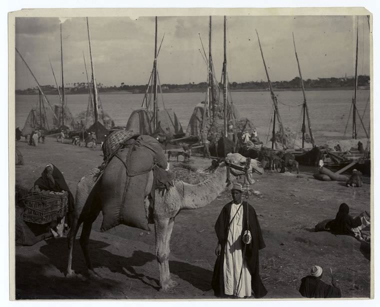 Ancient transportation, Nile, Egypt
