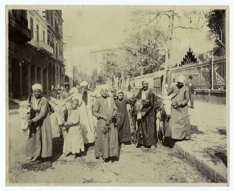 The irrepressible donkey boys at Cairo