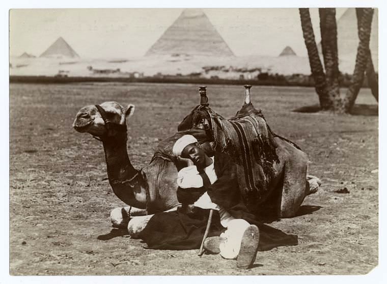 A dragoman asleep on his 'ship of the desert'