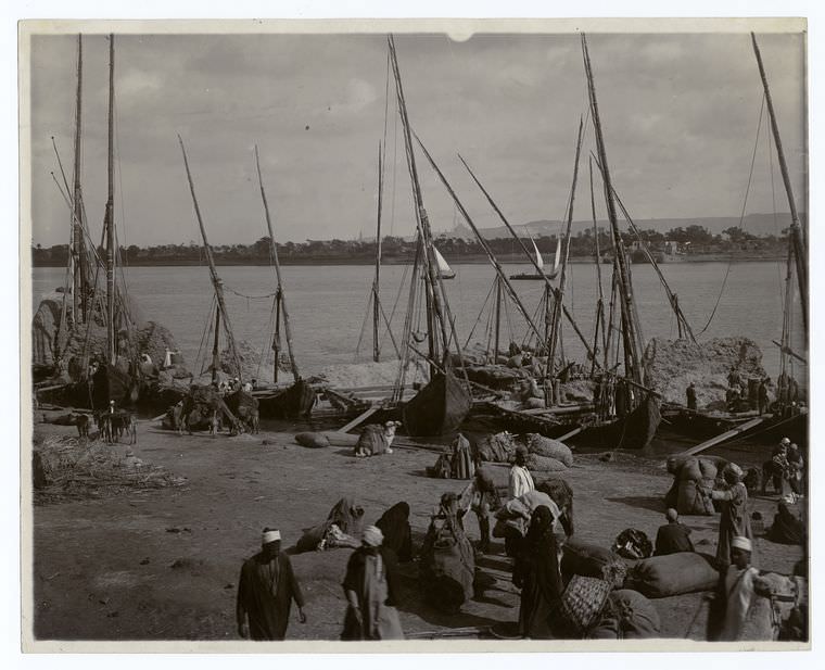 Feed boats (trodden straw) unloading on the Nile, Egypt