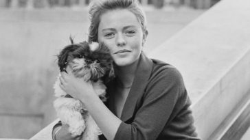 celebrities with dogs
