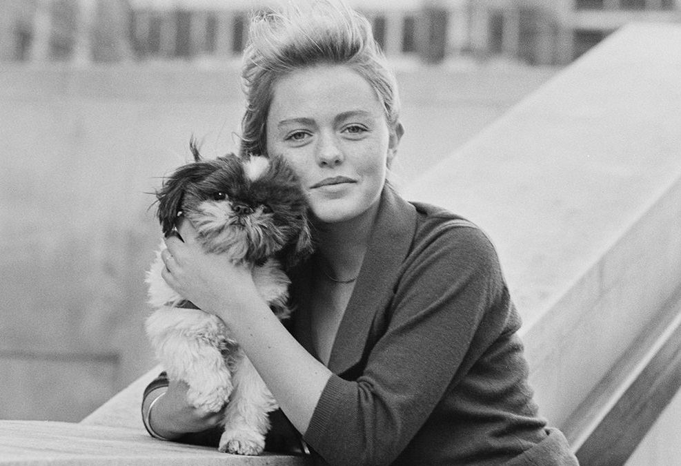 celebrities with dogs