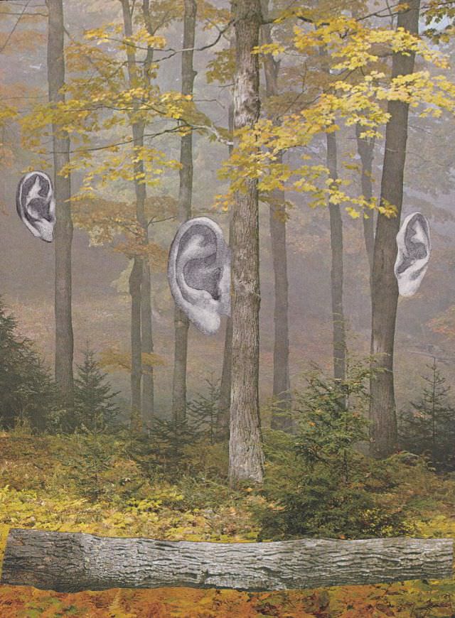 If a tree falls in a forest and no one is around to hear it, does it make a sound?"