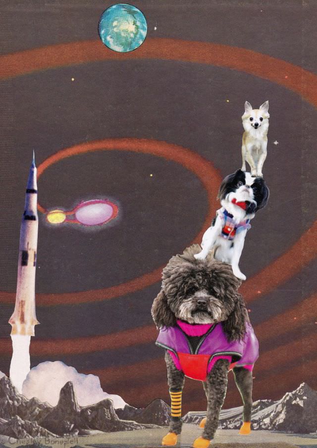 Planet of the balancing dogs