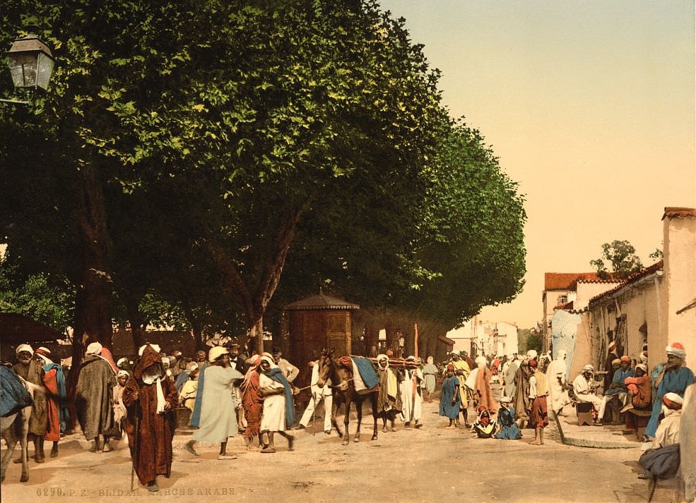 Arab market, Blidah, Algeria