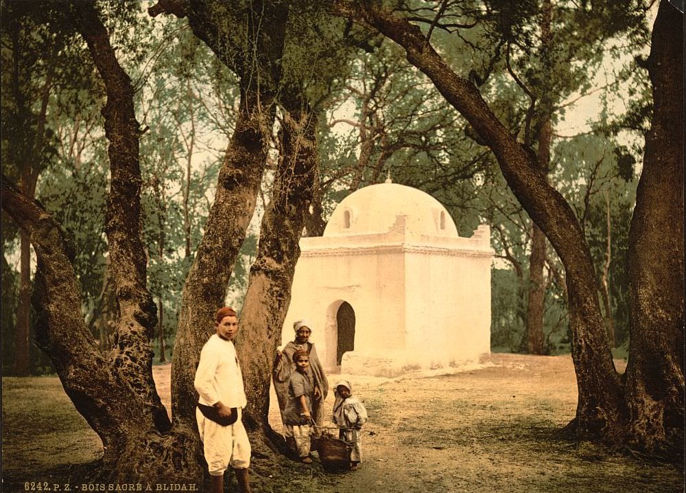 The sacred wood, Blidah, Algeria