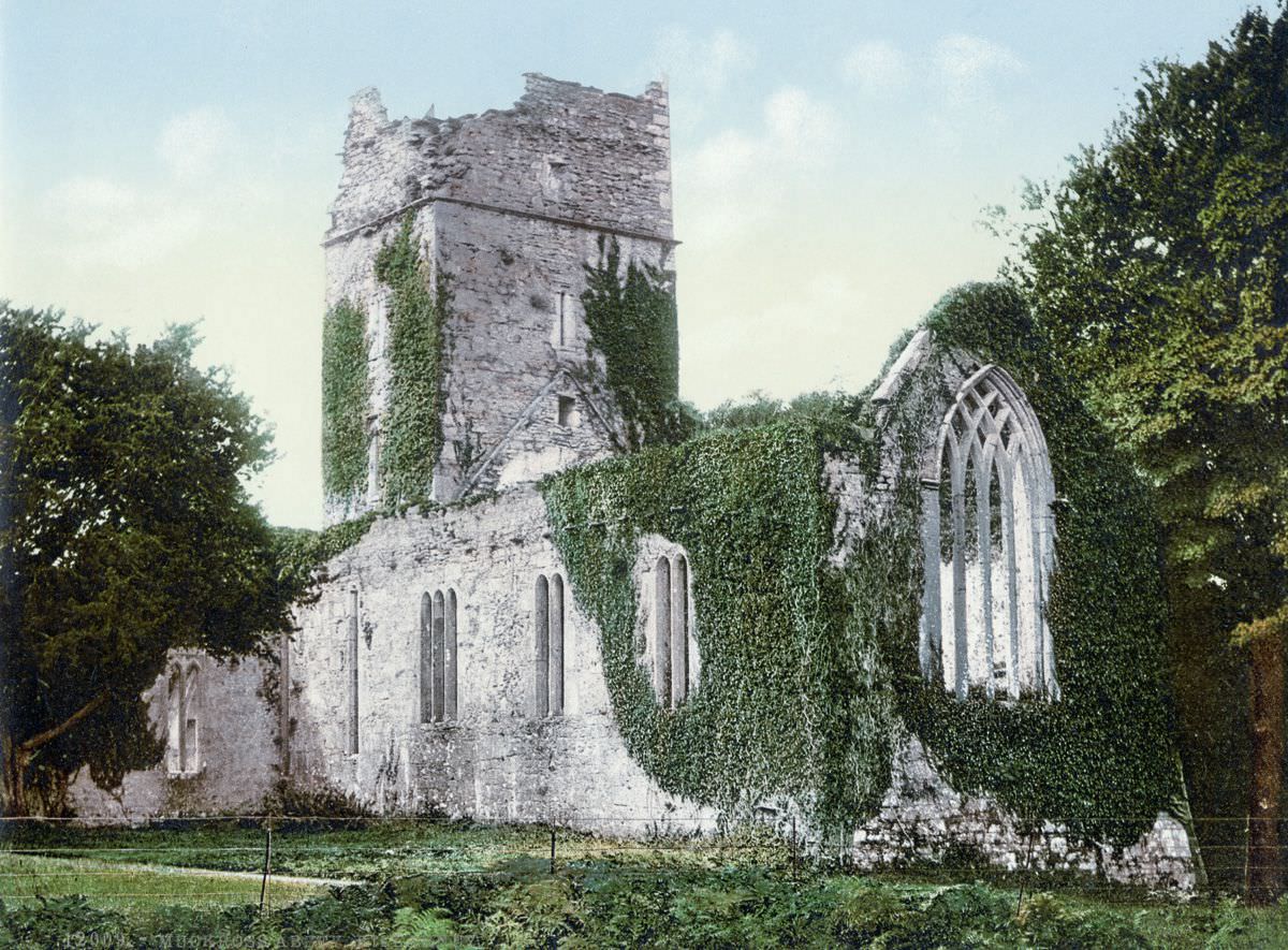 Muckross Abbey, Killarney, County Kerry.
