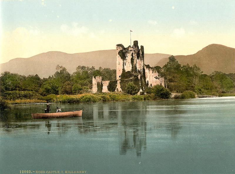 County Kerry. Ross Castle, Killarney