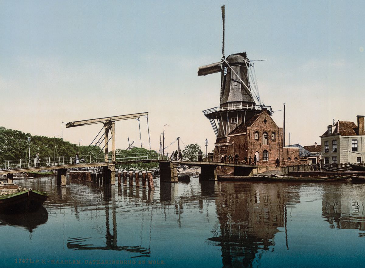 Catharine Bridge and windmill, Haarlem.