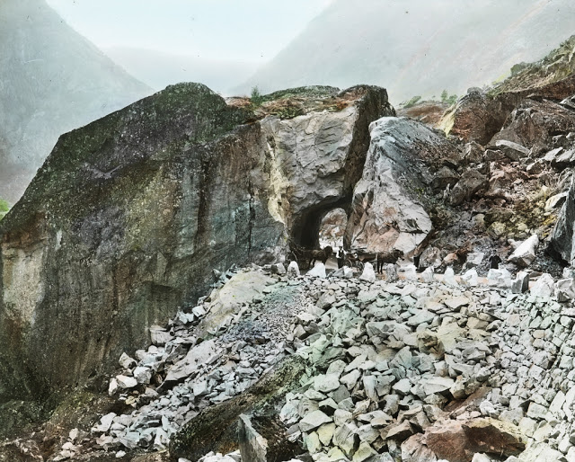 1890s Norway: 50+ Colorized Pictures Show How Norway Looked Like In The Late 19th Century