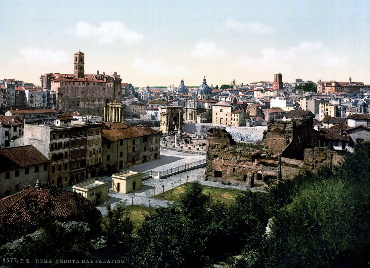 A view from the Palatine.