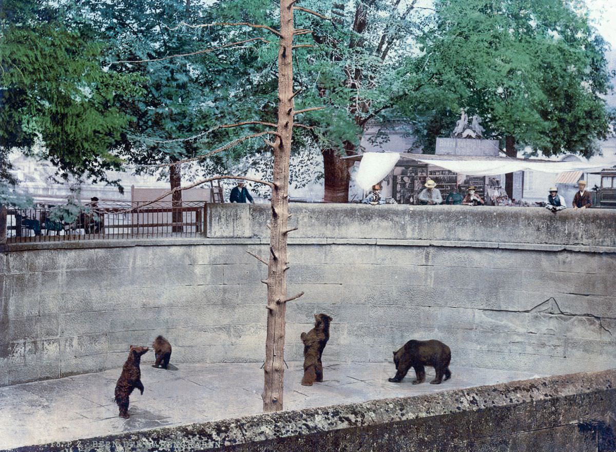 The bear pit at a zoo in Bern.