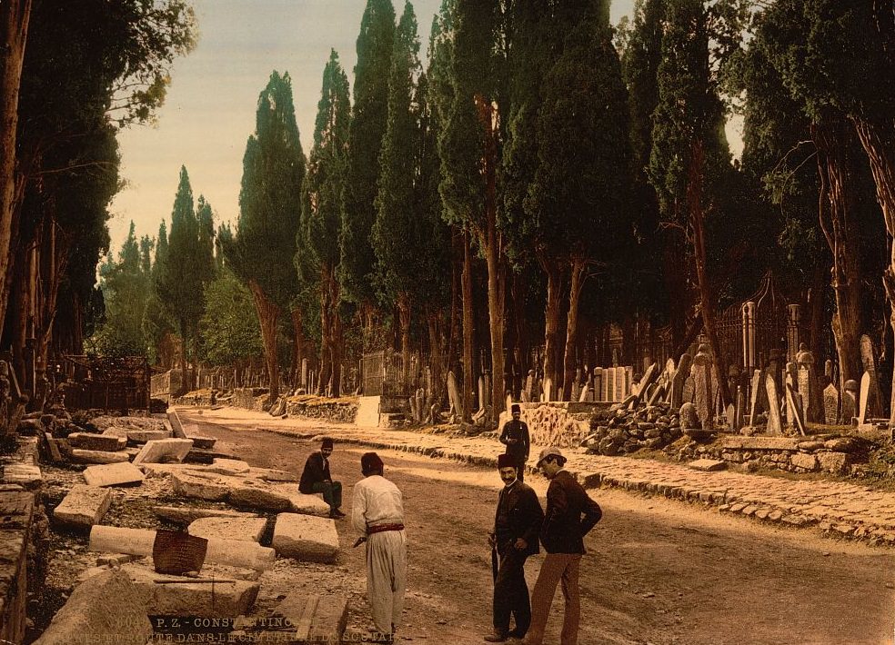 Cypresses and road leading to the cemetery, Scutari, Constantinople, Turkey