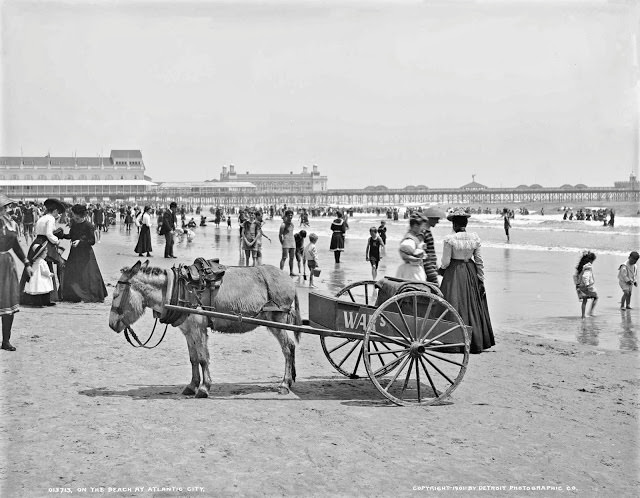 On the beach at Atlantic City, 1901