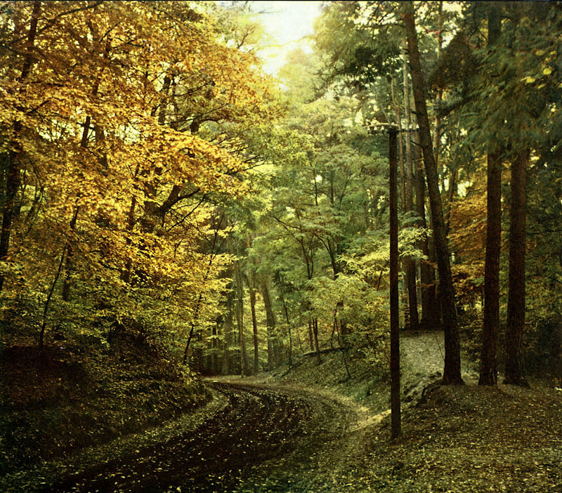 Rügen