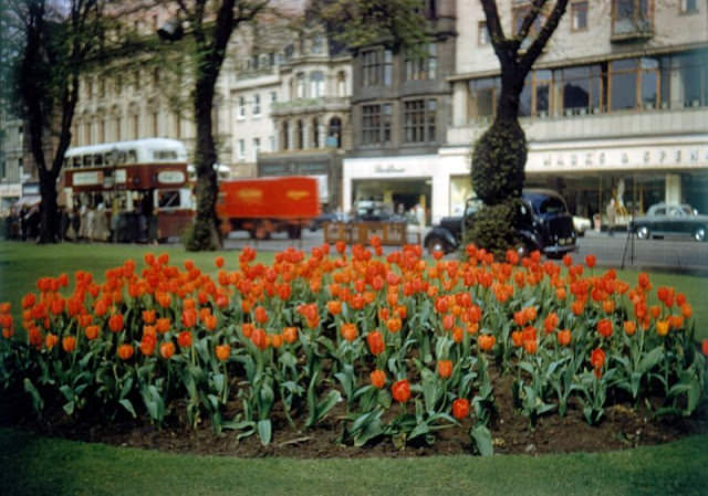 Princes Street looking east, Edinburgh, circa 1960