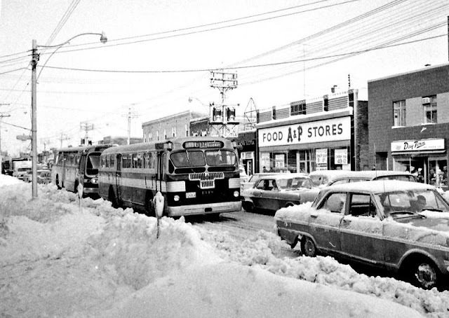 Eglinton Avenue West, Toronto