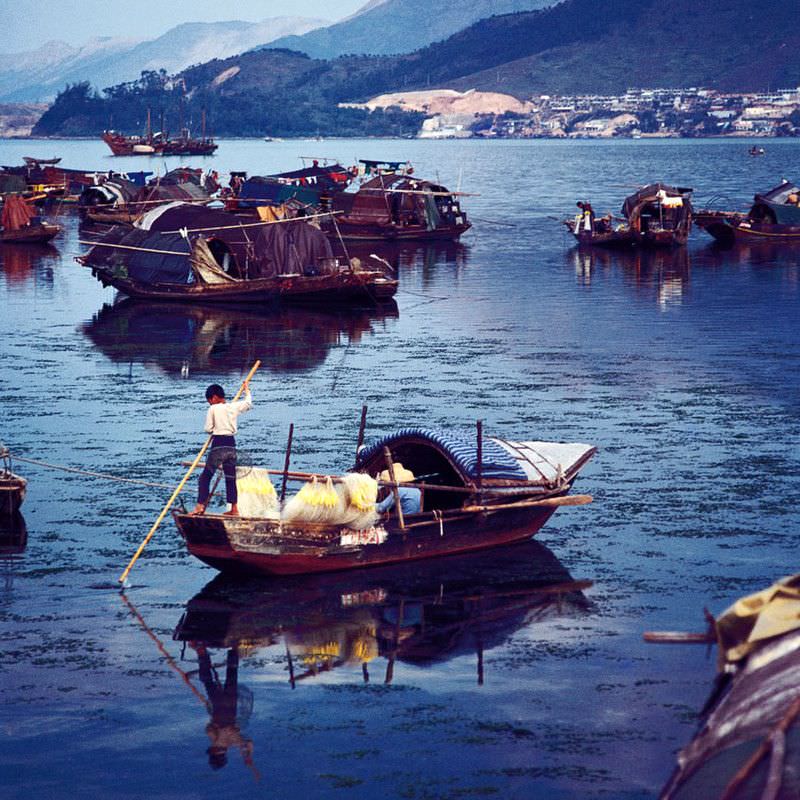 Sampans in Tai Po, 1978