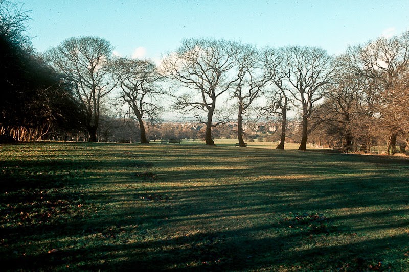 Hampstead Heath Extension