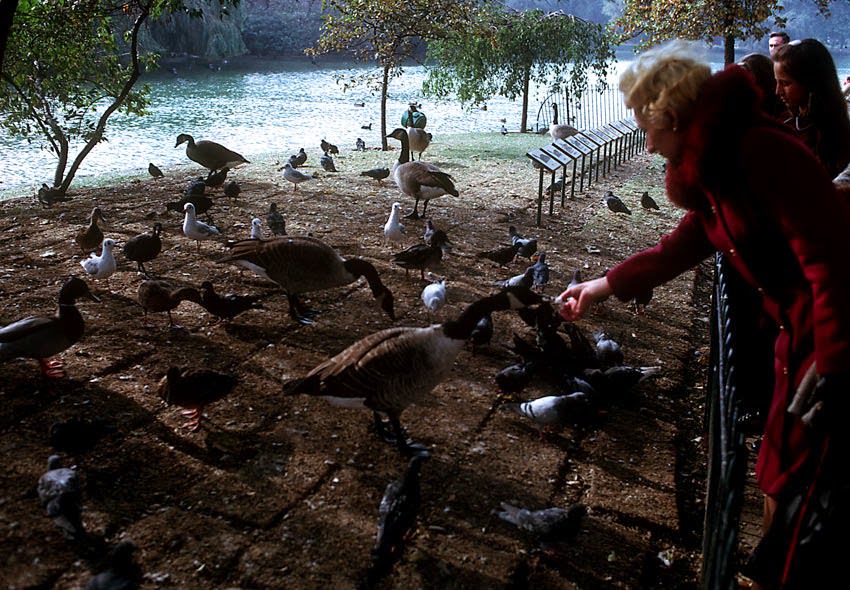 St. James Park, London