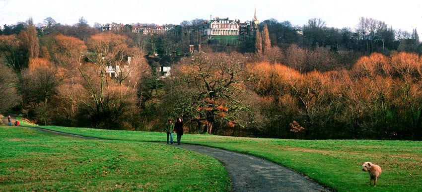 Hampstead Heath