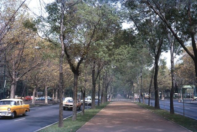 Mexico City. Boulevard near the Museum