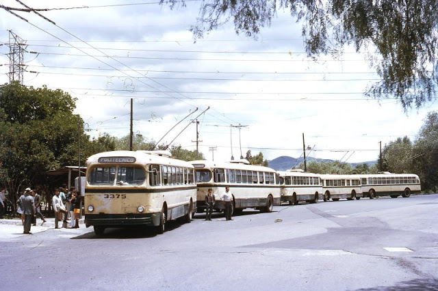Mexico City. Line up of trolleybuses outside University of Mexico