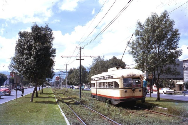 Mexico City. Rear view of PCC No, 2190 along centre reservation