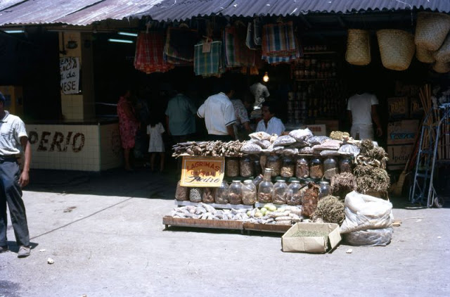 Tampico. Fruit stall