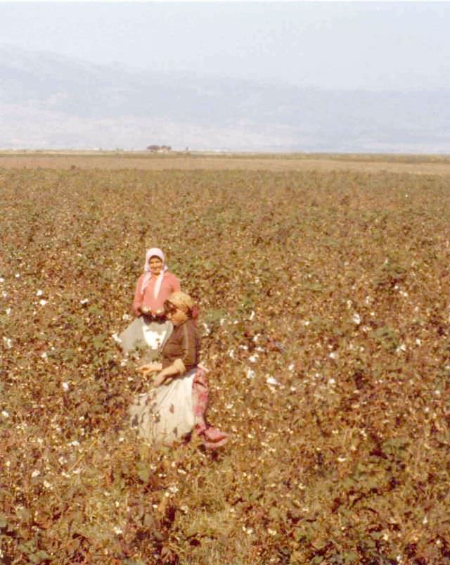 1980s Turkey: 50+ Pictures Depicting Everyday Life Of Turkish People In 1980s