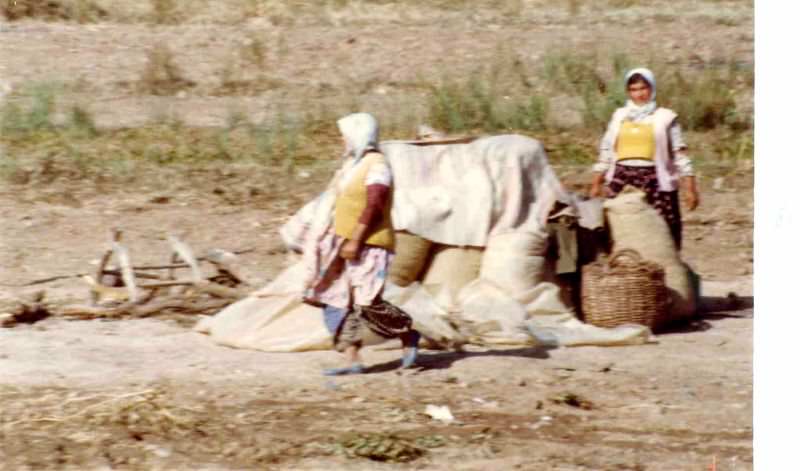 1980s Turkey: 50+ Pictures Depicting Everyday Life Of Turkish People In 1980s