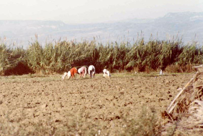 1980s Turkey: 50+ Pictures Depicting Everyday Life Of Turkish People In 1980s