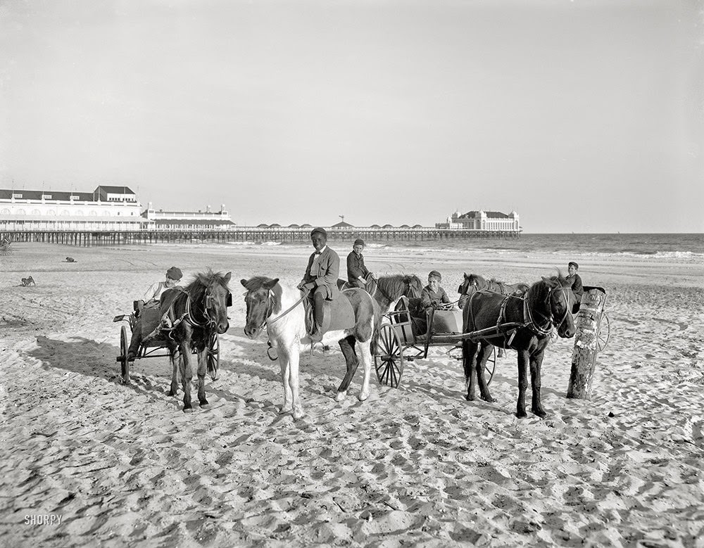The Jersey Shore circa 1905. Ponies on the beach -- Atlantic City.