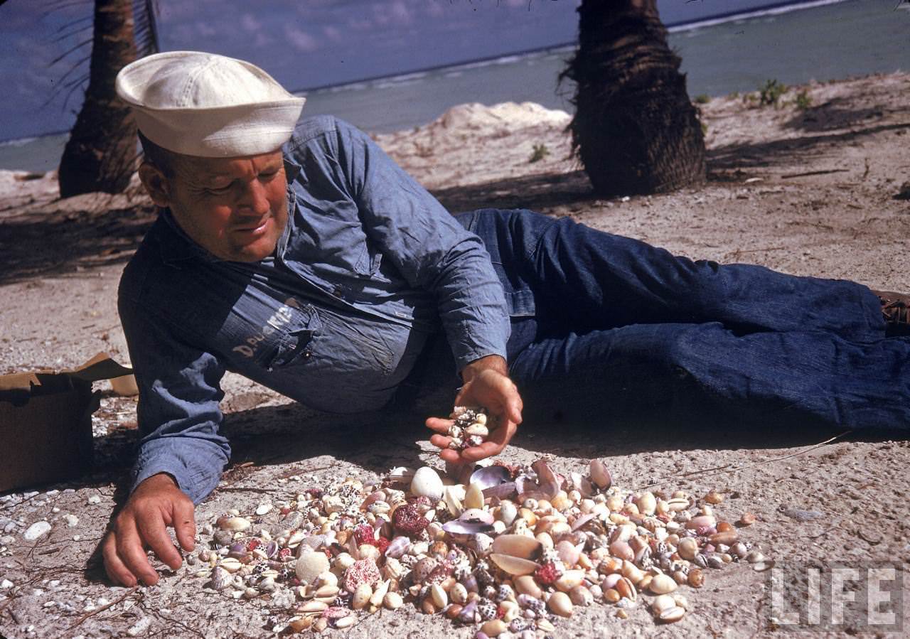 US sailor looking at sea shells he has collected while posted on Tarawa during WWII.