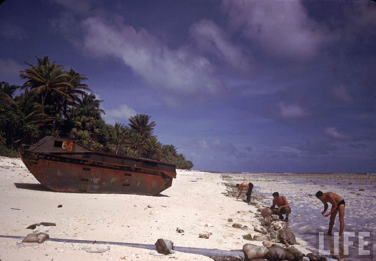American servicemen searching the shoreline near a rusted Alligator LVT on Tarawa during WWII.